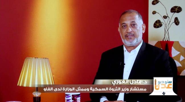 مستشار الوزارة  يكشف عن جهات نافذة تحمي القوارب التايلندية والسنقافورية التي تعبث بالثروة السمكية
