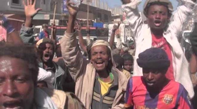 مليشيا #الحـوثي تحول مئات المهمشين الى وقود إضافي لحربها