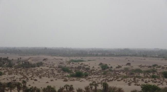 مليشيات #الحـوثي تقصف مواقع القوات المشتركة في الجبلية ب#الحـديدة