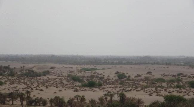 مليشيا الحوثي تقصف القوات المشتركة في الفازة بالحديدة