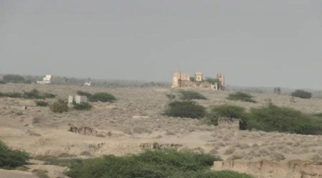 مليشيات الحوثي تقصف الأحياء السكنية بالتحيتا