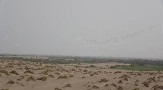 ميليشيا الحوثي تقصف مواقع المشتركة في الجبلية