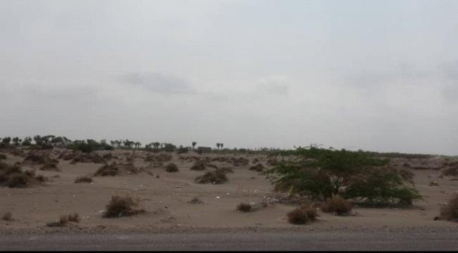 ميليشيا الحوثي تقصف مواقع المشتركة بالجبلية