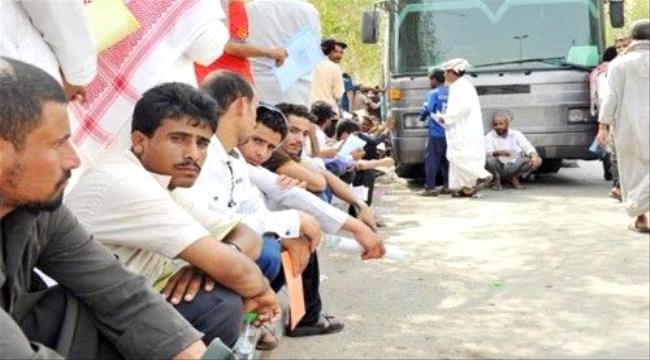 السعـودية تقبض على 23 ألف يمني حاولوا التسلل إلى داخل اراضيها