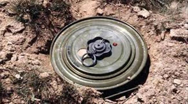 مقتل فتاة وإصابة أخرى بانفجار لغم أرضي في "القبيطة"