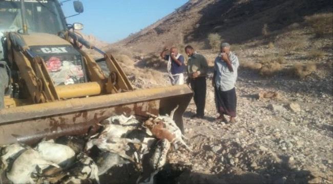 مكتب الزراعة ب#شبـوة يطلب إرسال وحدة ترصد بعد نفوق ماشية