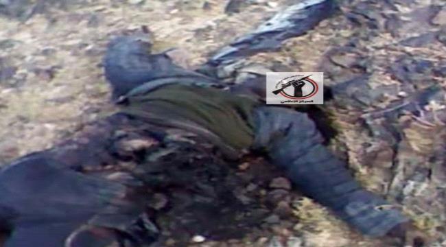   قبائل آلـ حميقان تطالب المنظمات سحب جثث #الحـوثيين المرمية في شعاب ووديان الزاهر بالبيضاء