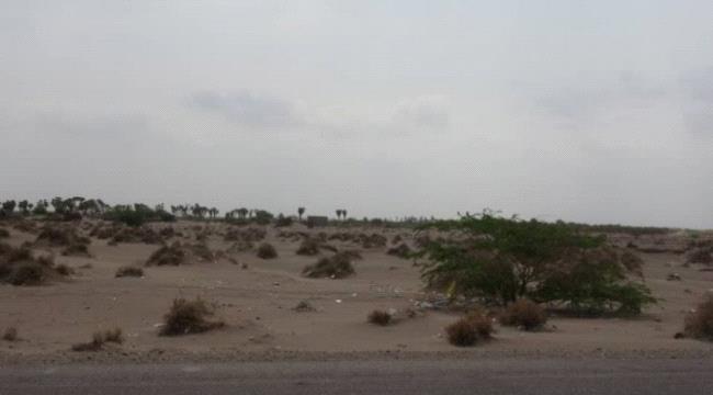 مليشيات الحوثي تقصف مواقع القوات المشتركة في الجبلية بالتحيتا