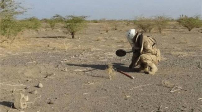 لغم حوثي يصيب مواطنا غرب قعطبة