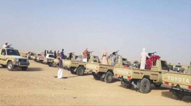 الصحفي بن لغبر يكشف عن اعداد كبيرة من المسلحين الشماليين في المهرة ..ويتسأل ماذا يحدث هناك ؟