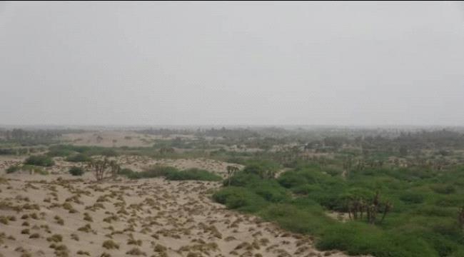 مليشيا #الحـوثي تقصف مواقع القوات المشتركة بالجبلية