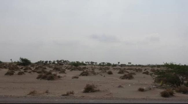 مليشيات #الحـوثي تقصف مواقع القوات المشتركة في الجبلية ب#الحـديدة