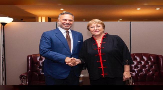  قرقاش يلتقي المفوضة السامية لحقوق الإنسان في نيويورك