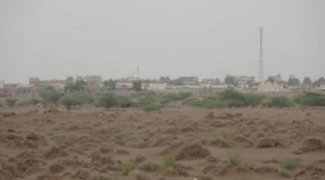 مليشيا الحوثي تهاجم جنوب التحيتا