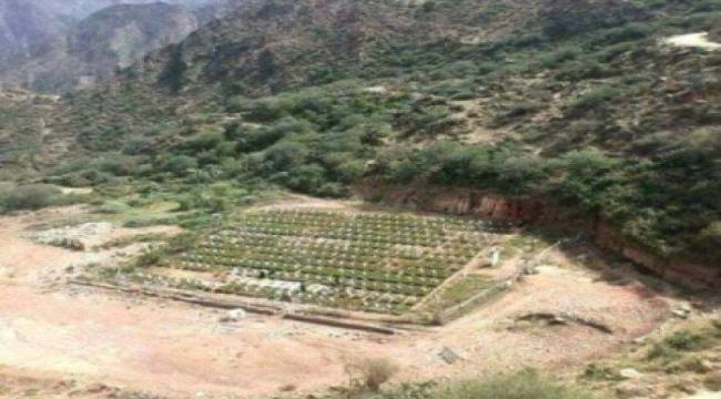 صحيفة : مليشيا الحوثي أسست 600 مقبرة لقتلاها