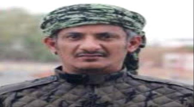 الدبيش يستعرض خروقات الحوثي ويشيد بدور الإمارات