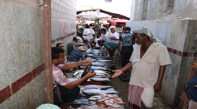 امن عدن يضبط كميات من الأسماك الفاسدة بالشيخ عثمان