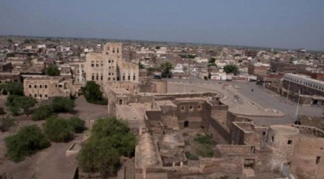 الكشف عن شبكة خنادق حوثية بين زبيد والتحيتا