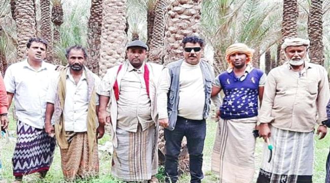 خليفة الإنسانية: قرية قيسو بقلنسية خالية من سوسة النخيل الحمراء
