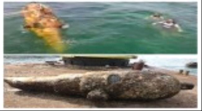 وزنه 33 طن وطوله أربعة متر..إنتشال مدفع اثري غارق في قاع البحر في صيرة