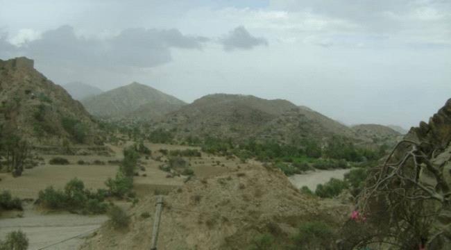 طور الباحة.. قتيلان وجرحى بينهم امراه