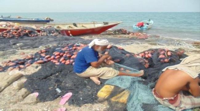 نفوق اسماك بساحل رأس العاره في لحج والسكان يطالبون بتدخل الجهات المختصة 
