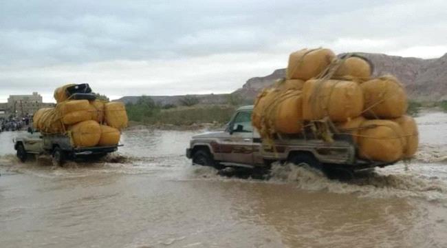 مليشيا الاخوان تتحدى البحسني وتسمح بدخول القات الى وادي حضرموت