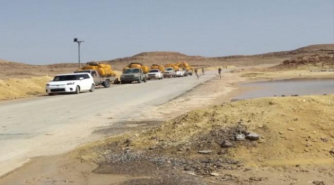المهرة تمنع نهائيا دخول القات إليها 