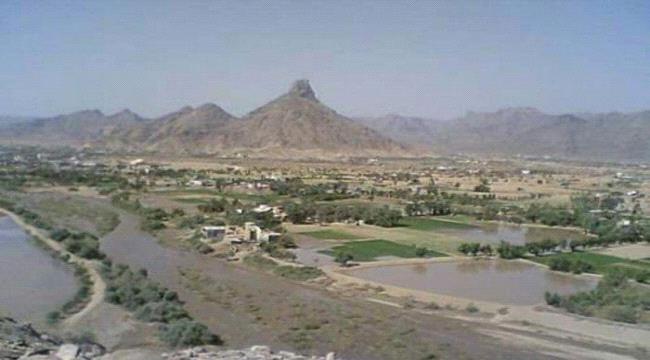 شبوة.. 6 قتلى في اشتباكات قبلية ببيحان