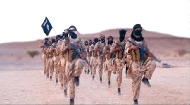 قيادي في تنظيم القاعدة  يقر بقتال التنظيم مع قوات الشرعية بمأرب