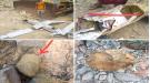 حزام أبين : الطائرة الحوثية المسيرة التي سقطت في رصد كانت مفخخة 