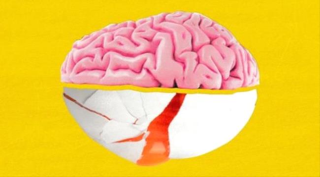 دراسات: البيض خيار مثالي لأحد العناصر المهمة لصحة الدماغ