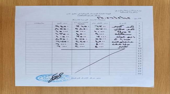 أسعار الأسماك بالعاصمة عدن اليوم الخميس 12 نوفمبر 2026 