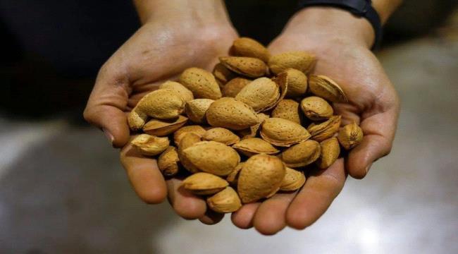 فوائد مذهلة للوز: من القلب إلى العظام