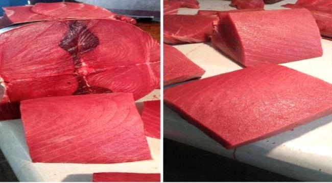 أسعار الأسماك صباح اليوم السبت 14 يونيو بالعاصمة عدن