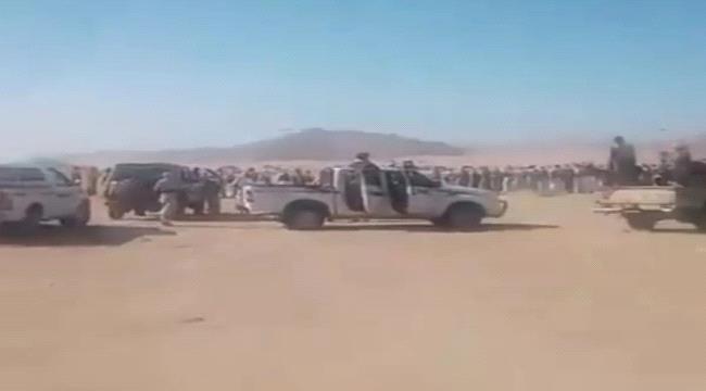 اخبار وتقارير – قبائل الجوف تتصاعد ضد الحوثيين بعد اختطاف شيخ بارز