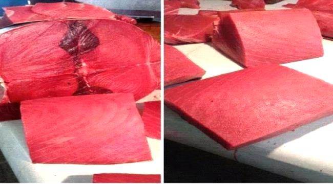 اخبار وتقارير – ارتفاع جنوني في أسعار الأسماك بعدن اليوم الجمعة 17 يوليو 2026م اخبار وتقارير – ارتفاع جنوني في أسعار الأسماك بعدن اليوم الجمعة 17 يوليو 2026م